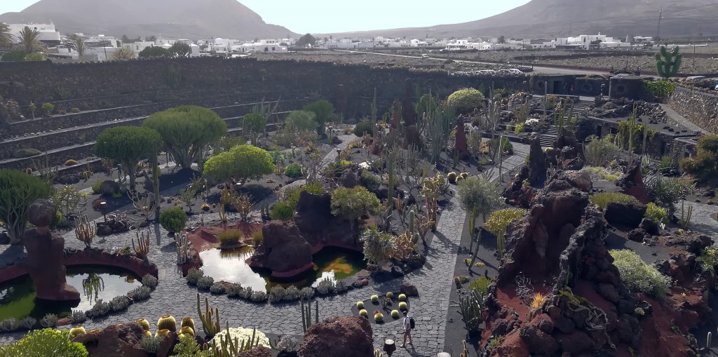 Kakteengarten auf Lanzarote