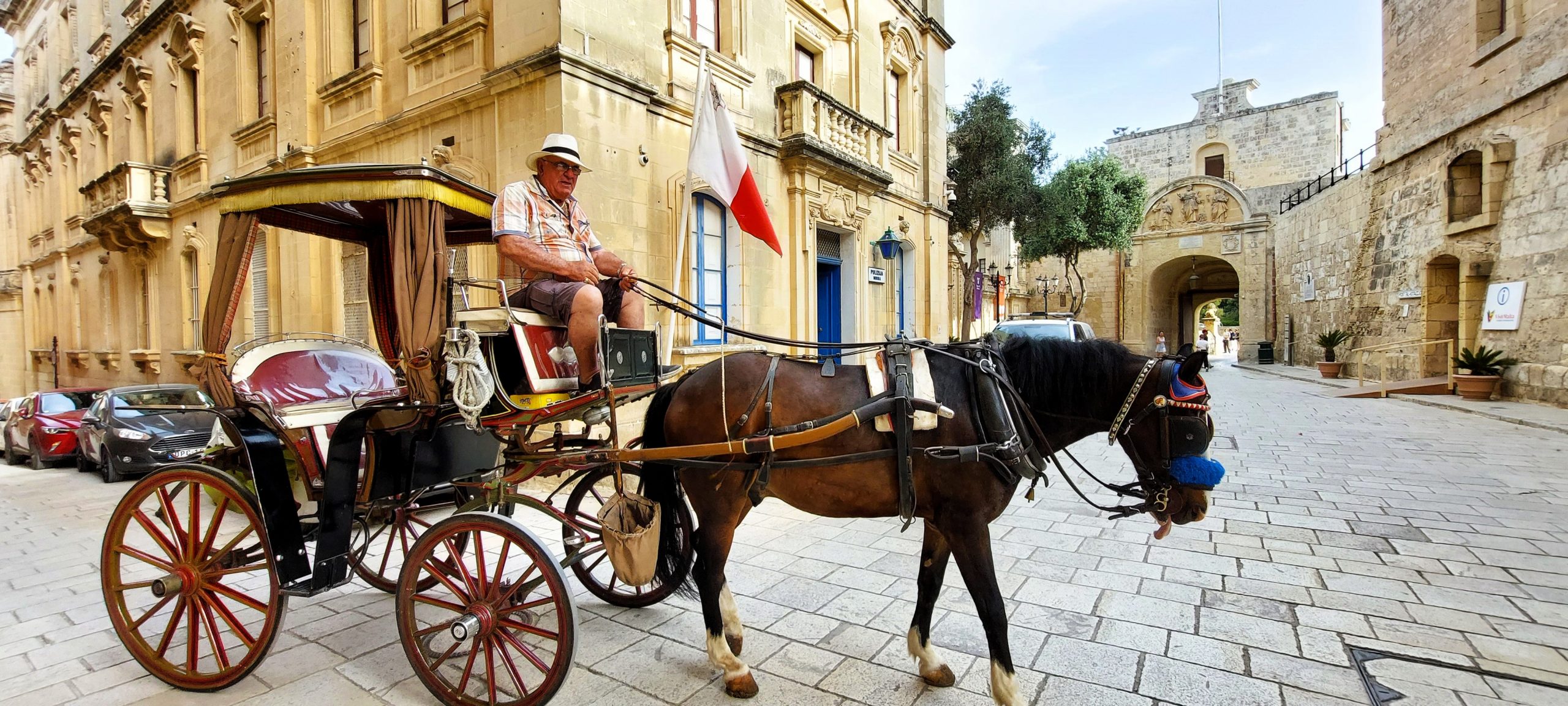 Kutsche in Mdina